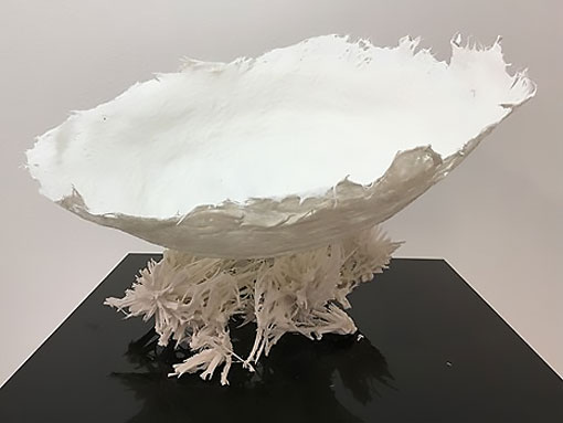 Canberra Potters Members’ Exhibition 2019